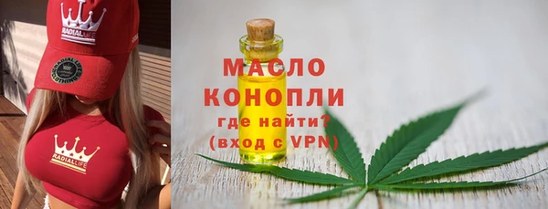 молекула духа Волоколамск