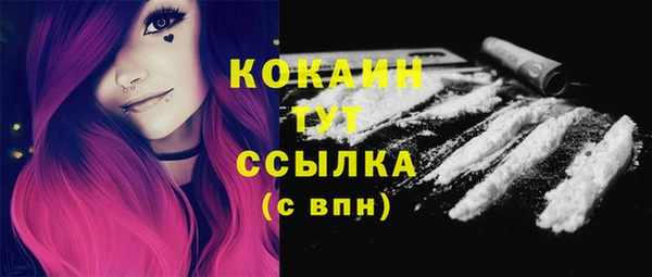 молекула духа Волоколамск