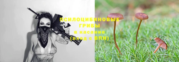 молекула духа Волоколамск