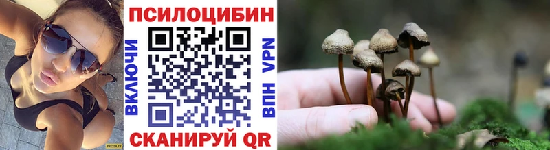 hydra   закладка  Уфа  Галлюциногенные грибы Psilocybine cubensis 
